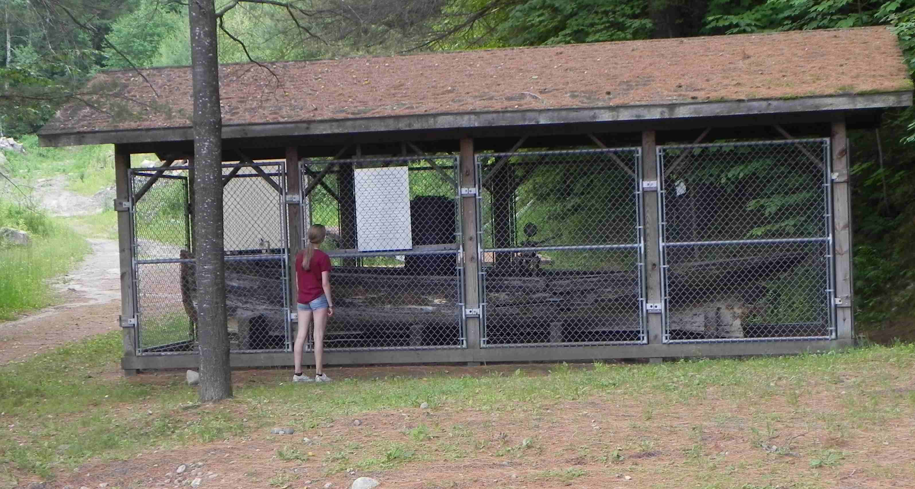 The Adirondack Guideboat-the Buttercup Steam Boat - Adirondack-Guideboat