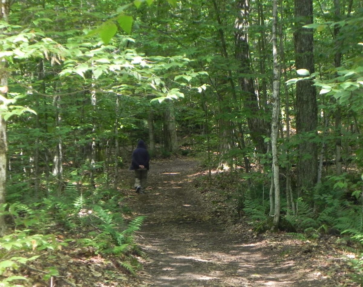 Minnow Pond-Part 1 - Adirondack-Guideboat